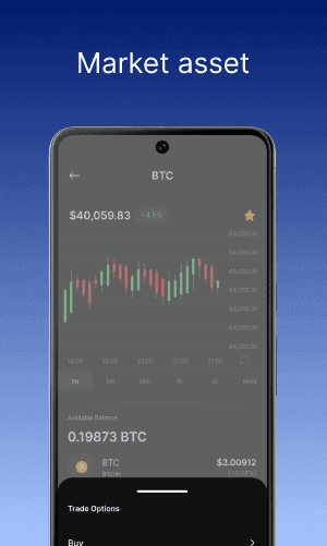 crypto wallet developer