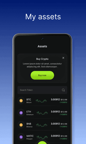 Cryptocurrency Wallet Development company